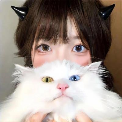 猫王艾维斯